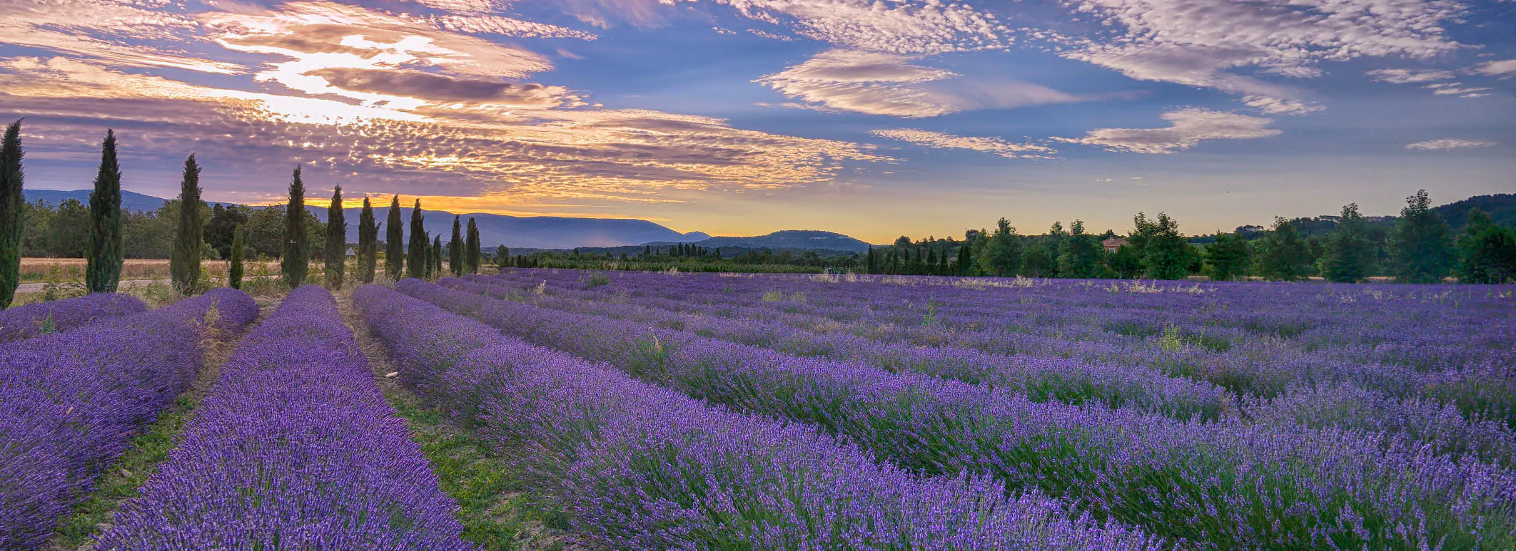 13. Provence-Alps-French Riviera